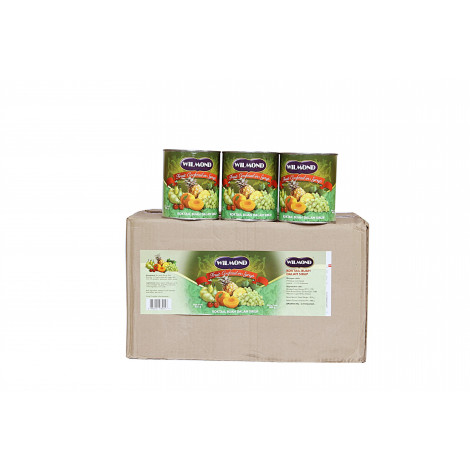 Wilmond Fruit Cocktail 24 x 825 Gr